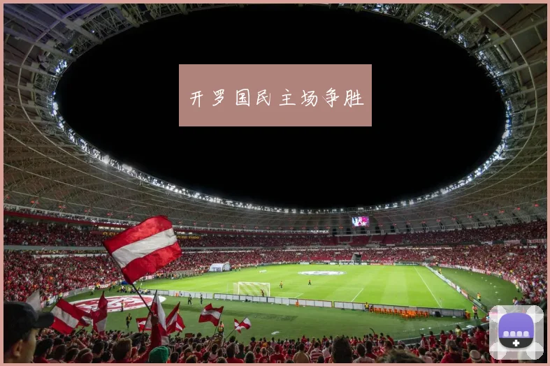 开罗国民主场争胜