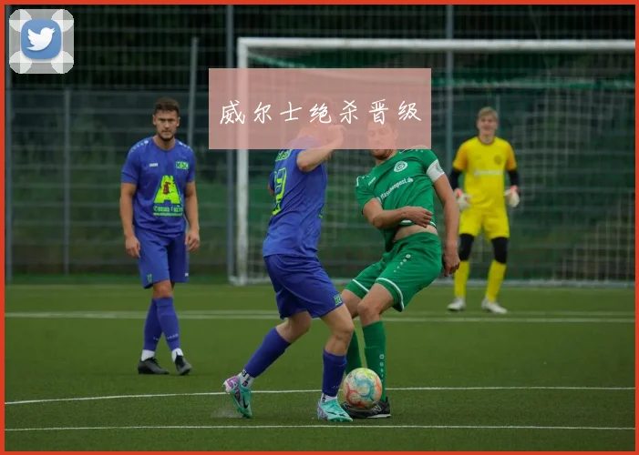 威尔士绝杀晋级