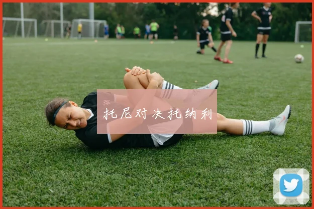 托尼对决托纳利