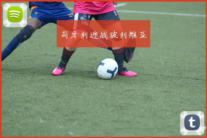 匈牙利迎战玻利维亚